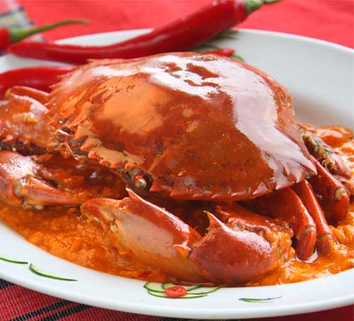 Chili Crab Singapore